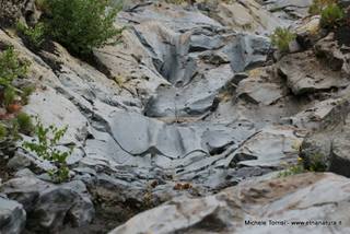 rrente Quarantore-05-08-2015 17-25-15